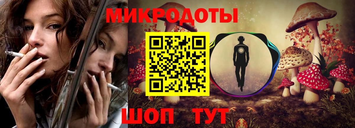 Туапсе  Псилоцибиновые грибы Psilocybine cubensis  Вход с VPN 
